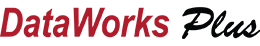 DataWorks Plus logo